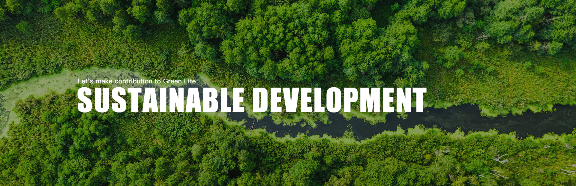 Sustainable Development